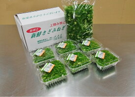 カットねぎ ファミリーサイズ 800g（500g+50g×6）国産 徳島県産 自社産 冷蔵便 送料別 ネギ 葱 薬味