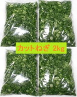 カットねぎ2kg (500g×4袋） ネギ ねぎ 葱 薬味 徳島県産 香川県産 産地直送 冷蔵便 送料別
