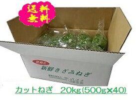 阿波の新鮮カットねぎ 20kg（500g×40袋）業務用 送料無料 徳島県産 自社産 産地直送 クール便 ネギ 葱 薬味