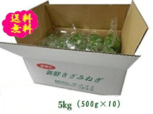 g̐VNJbg˂5kgi500g×10܁j  lM K 򖡂˂ Y Yn Ɩp ①