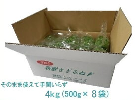 カットねぎ4kg(500g×8袋) 業務用 徳島県産 ネギ 葱 薬味 国産 自社産 産地直送 冷蔵便 送料別