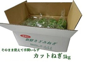 Jbg˂5kg 500g×10 lM ˂ K Y Yn ①  Ɩp