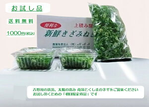 �������i600g 500g1��+50g×2 �������� �l�M �� �K �J�b�g�˂� �������Y ���쌧�Y ���ЎY �Y�n����