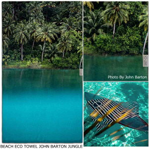 LEUS BEACH TOWEL EX r[`^I T[tB {fB[{[h oX^I g T[t^I uPbg 唻