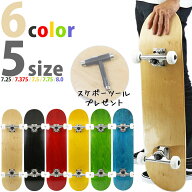 専用工具プレゼント スケボー コンプリート 完成品 │7.25│7.375│7.5│7.75│8.0│6カラー メンズ レデ…