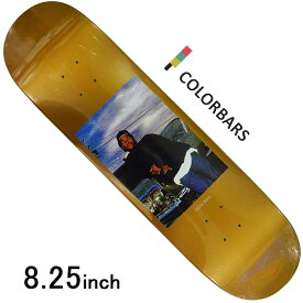 カラーバー 8.25インチ スケボー デッキ アイスキューブ Color Bars Ice Cube 63 Deck スケートボード 板 ストリート パーク ランプ