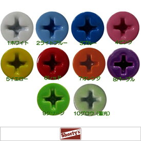 ボルト ナット ショーティーズ 1インチ スケボー パーツ セット スケート スケートボード Shorty's Skateboard Parts Phillips Hardware ビス ネジ プラス ハードウェア