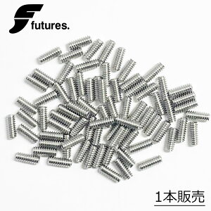 t[`[tBp tB[`[tBp future tB L[ lW vO{g T[tB future STAINLESS STEEL SCREW 1{ ʔ̔ rX XN[ tB~ h~ h~