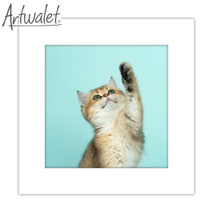 ȈՃgC }Cbg A[gg Artwalet 5 003 cat  hЃgCZbg ЊQObY gуgC CeA