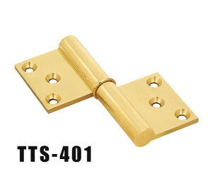 ؐp TTS TTS-401  ؐ  hA