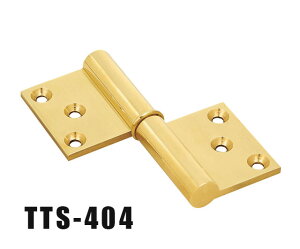 ؐp TTS TTS-404  ؐ  hA