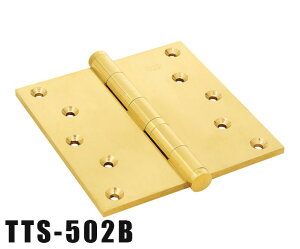 ؐp TTSV TTS-502B  ؐ  hA