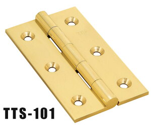 ؐp TTSp TTS-101  ؐ  hA