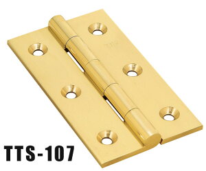 ؐp TTSp TTS-107  ؐ  hA