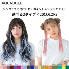 アクアドール ポイントメッシュエクステ2type [wgt812] AQUADOLL エクステ ウィッグ ロング みつあみ クリップ式エクステ 全20色 部分ウィッグ ポイントメッシュ つけ毛 簡単 赤 青 ピンク イエロー 子供 キッズ ダンス ライブ