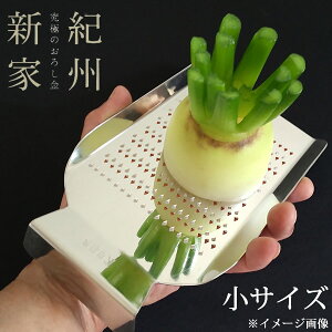 IBV ƒp낵 TCY 10iڗ (1`3lp) ()  {  El イ 卪낵 gt낵 낵 vp