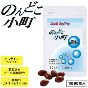 のんどこ小町 (メール便送料無料) 栄養機能食品 システインペプチド 酵母エキス アミノ酸 マルチビタミン 葉酸 亜鉛 サプリメント 健康食品
