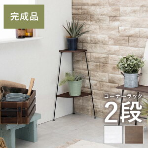 �R�[�i�[���b�N 2�i 25.5×25.5×55cm