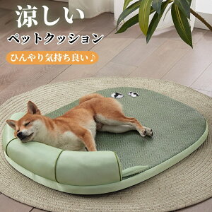ペットベッド 夏用 冷感 犬 猫 犬用 猫用 クッション ベッド ひんやり 藤編み 籐シート ペットマット 枕付き 小型犬 中型犬 暑さ対策 快適 ペット用クッション 犬猫兼用 犬用ベッド ざぶとん