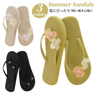 T_ fB[X r[`T_ p tbgT_ y IV  [V[Y Xbp ؂ ][g t   É _炩 ~ p r C ԉ 