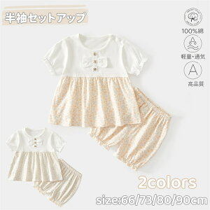 xr[ ̎q ZbgAbv ĕ s[X  tVc V[gpc ㉺Zbg LbY  ĕ ԕ 2_Zbg 100%   Ԃ JWA [EFA ʊw 