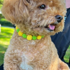 ybgplbNX `[J[ 蕨 Mtg  v[g LL{[ NX}X a ߂ ybgpi p Lp  Cxg p[eB[