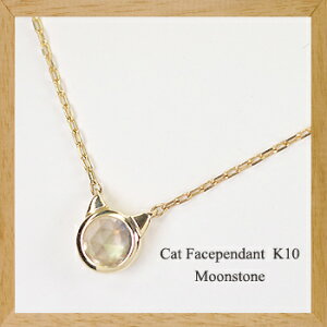 K10E[Xg[ LbgtFCXlbNX L`[t CG[S[h