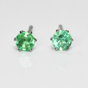 y5̒a΁z v`i a ꗱsAX Gh Pt900 {WG[ VR 6{ p[Xg[