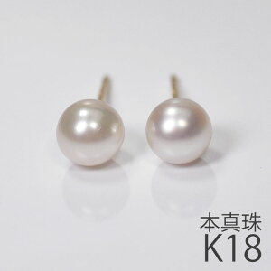 K18 {^ X^bhsAX 5mm 18 CG[S[h AR^ AM[łS Mtg