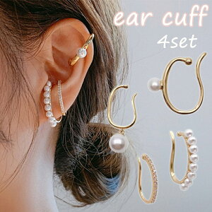 C[Jt4_Zbg AM[Ή @fB[X jbPt[ WG[ v`vCX@p[ WRjA S[h Vo[ sNS[hp[eB[ fB[X 