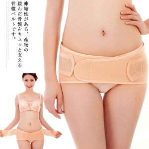 Ճxg }^jeB }} YPA Ջ ՃT|[g RZbg ɉP DP  ՃPA ʋCQ 傫TCY g DPj oYj xg 