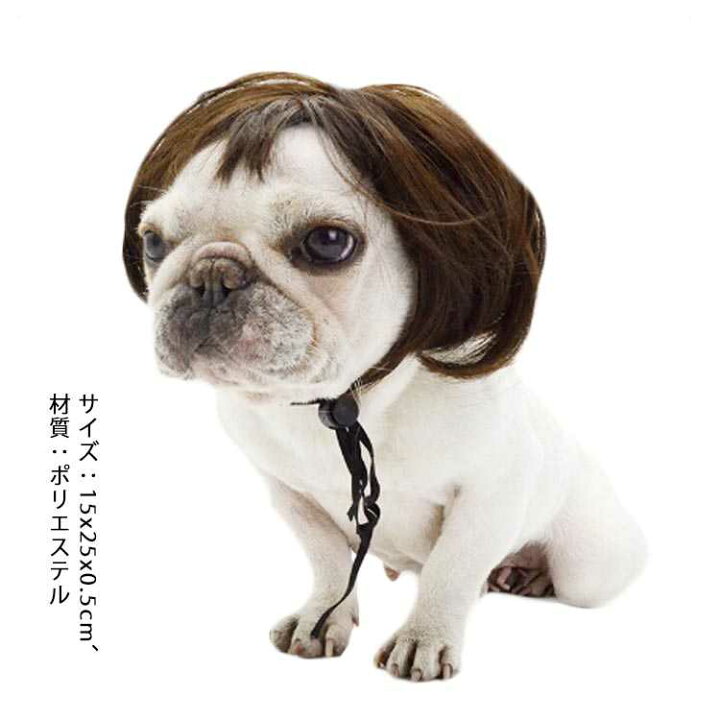 楽天市場 犬 猫用 かつら ウィッグ 面白い かわいい かっこいい コスチューム 猫 犬 ソフト 小型犬 中型犬 出掛け 散歩 ストレート Cute Nails Town 楽天市場 犬 猫用 かつら ウィッグ 面白い かわいい かっこいい コスチューム 猫 犬 ソフト 小型犬 中型犬 出掛け 散歩 ストレート Cute Nails Town