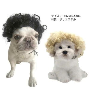  Lp  EBbO ʔ 킢  RX`[ L  \tg ^ ^ o| U p[}