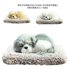 ԗpL EL Ɨp ԗp  LY L  Aj}  p_ Y  C y ΍ L  ԓp p