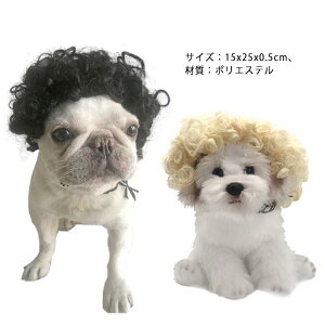  RX`[   ʔ 킢   L Lp \tg EBbO ^ o| U