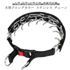 g[jO   pvOJ[ XeX Pp  p ȒP pi pXpCNs`J[ ߉\Ȍpg[jOJ[  UObY