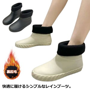 Cu[c CV[Y PU V[gu[c C JC K[fjOu[c fB[X JWA Nс@g ₦΍ RȂ h RtH[g y ɂ ʊw ʋ 