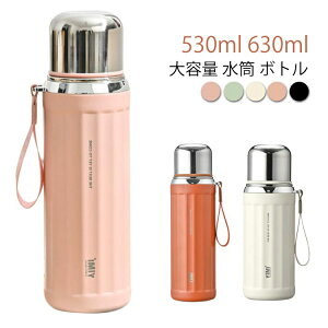 保温 530ml 水筒 魔法瓶 630ml ステンレス フィルター付き 子供 水筒 キッズ コップ付き コンパクト 大容量 直飲み 茶水分離 キッズ水筒 子供用水筒 ワンタッチ こども マグボトル マグ ステンレ