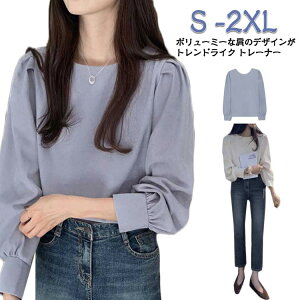 fB[X t Vv ꂢ  n t g[i[ Jbg\[  傫TCY ̌^Jo[ gbvX  킢    N[lbN W[W[ p