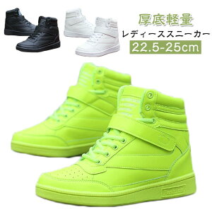 ^C nCJbg   r ʋC _XV[Y Xj[J[ V[Y fB[X L y nCq[ Ȃ C y V[Nbgu[c  gAbv  Xj[J[ 