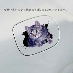  J[XebJ[  XebJ[ oCN XebJ[ 3D L  h яoL  CpNg LYB ʔ EH[XebJ[ gC  ① CeAV[