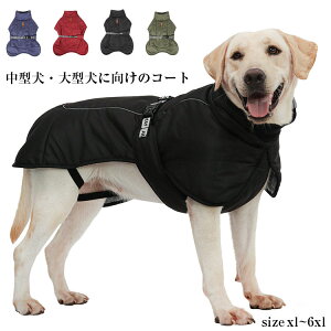 ybg hbOEFA hbO R[g ~p g DKt ^pWPbg ^pxXg R[g Ȃ  ۉh Ck~ ybgpi