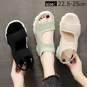 X|[cT_ T_ 4cm X|[c T_ fB[X T_ Xj[J[  ~ p NbV ɂ r ₷ ɂȂ y r[`T_ V