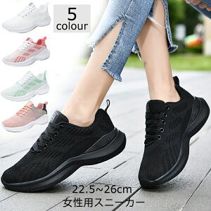 Xj[J[ WjA fB[X LbY ̎q 25cm jOV[Y W Xj[J[ ^C bV AEghA ʋ ʊw 풅 Y fB[X C   傫 TCY EH[L