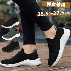 Xj[J[ Y fB[X jO C V[Y 傫TCY jbg Xb|  [Jbg Ȃ K ^CS  C WjA q l ~ 