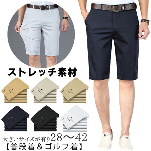 StEGA n[tpc Y 傫 pc Y   Xgb` V[gpc rWlX ʋ ʊw JWA  ubN lCr[ O[ LkL IV n Y 