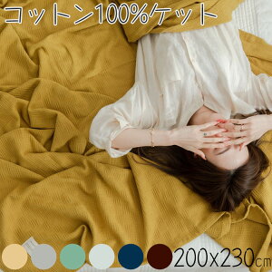 y200x230cmzK[[Pbg100% LgPbg  y ^IPbg Rbg100  | 􂦂 Ȗѕz |zc 140×190cm  z ʋC 􂦂  i` Vv 