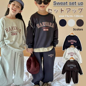 LbYZbgAbv xr[ W[W 2_Zbg H~ xr[ [EFA  Y{ LbY ㉺Zbg Vv |Pbgt  u i K j̎q ̎q jp 