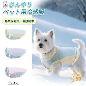  Nꃋ ⊴   t xXg bV Ђ     ʋC  y  ėp Vc q ^ ^ ybg m ^Ngbv Ȃ L  ĕ  