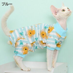 L   _炩  XgCv XtBNXL LbgEGA Z[^[ p[J[ tďH RjXт̔L EȒP AEghA ybgEGA  f{bNX R[jb